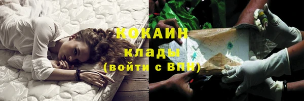 ПСИЛОЦИБИНОВЫЕ ГРИБЫ Заволжск