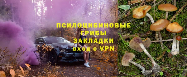 амф Заволжье
