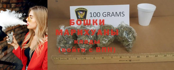 ALPHA PVP Заводоуковск