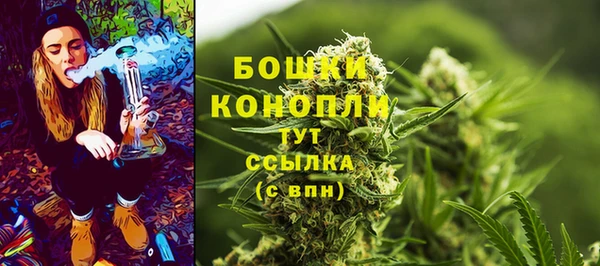 ALPHA PVP Заводоуковск