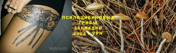 ПСИЛОЦИБИНОВЫЕ ГРИБЫ Заволжск