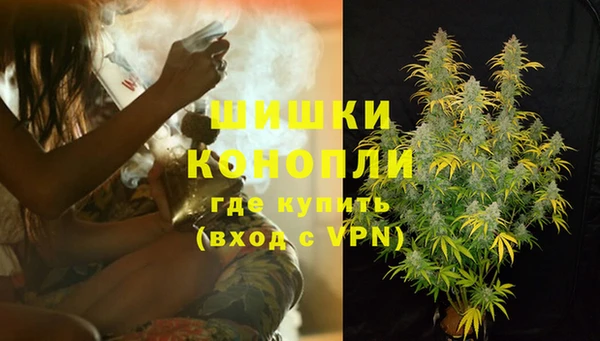 дмт Няндома