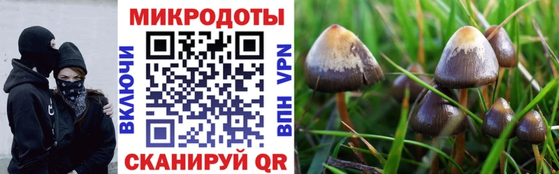 Псилоцибиновые грибы MAGIC MUSHROOMS  Зеленокумск 